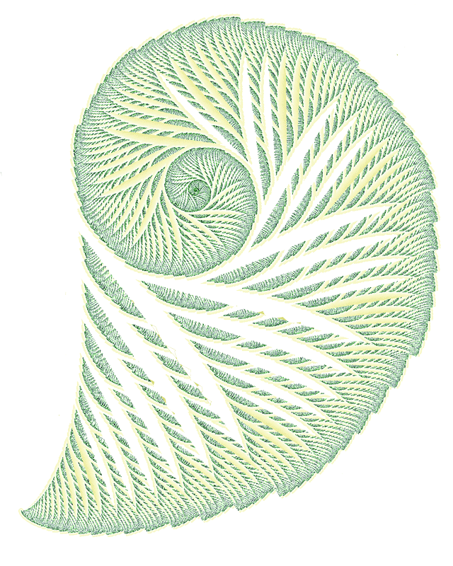 coquille2